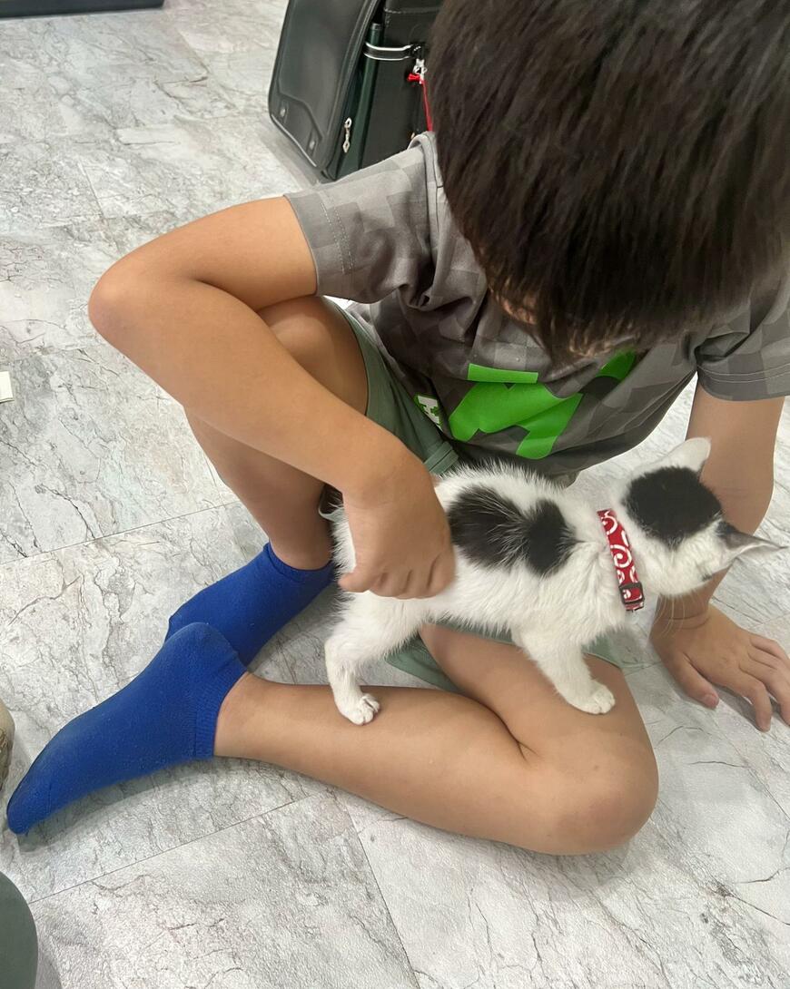 出所：@omochi_nam01