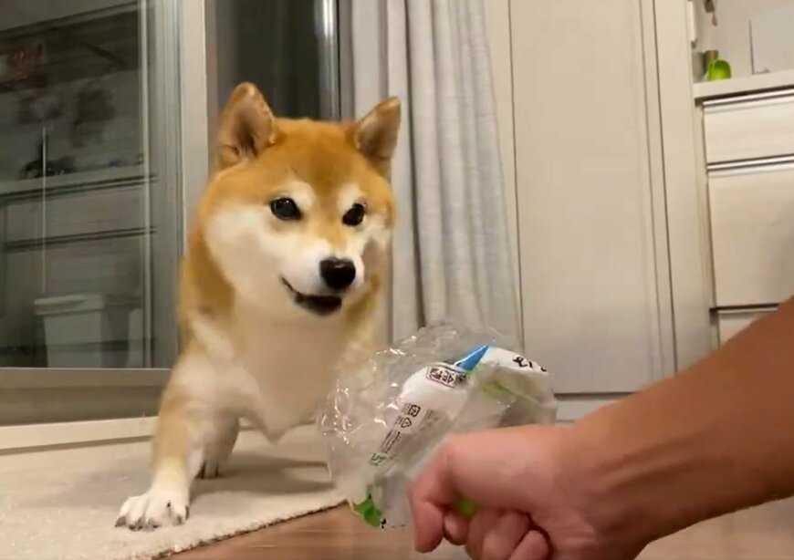 出所：@ohirune190303