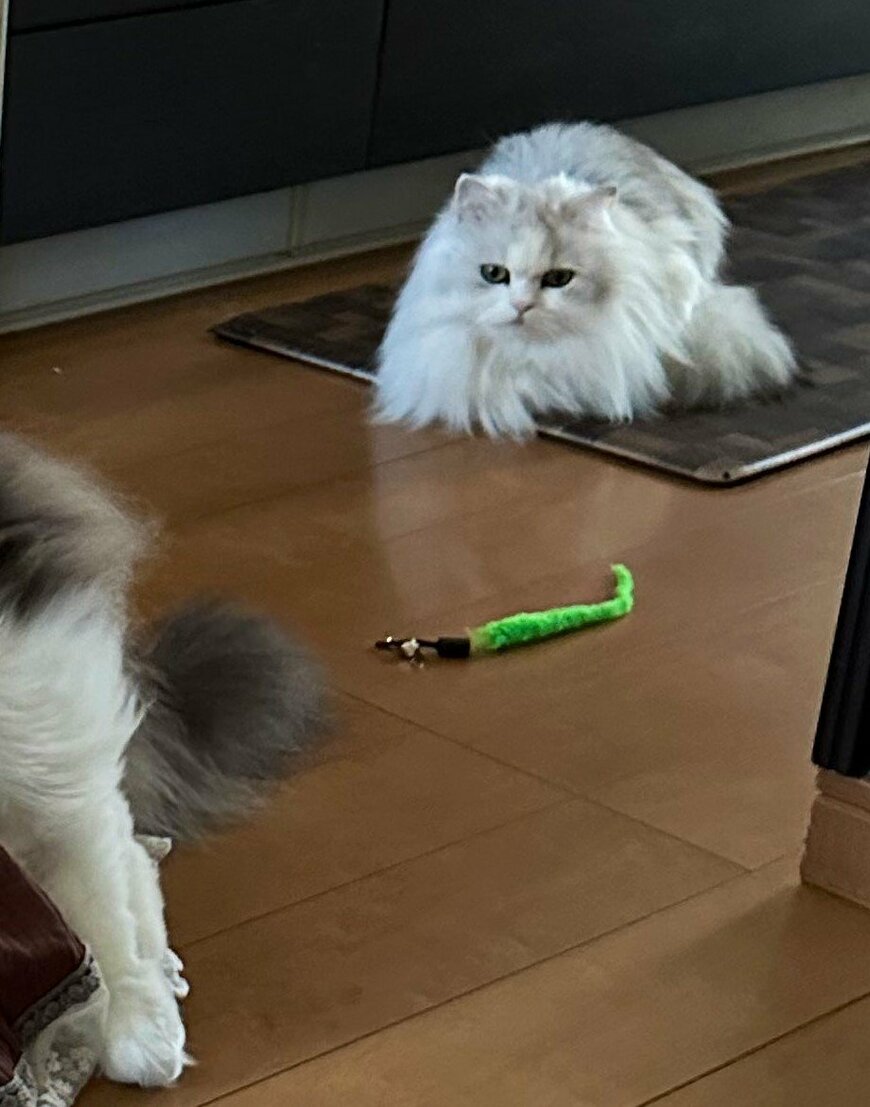 出所：@NEKOLAND13