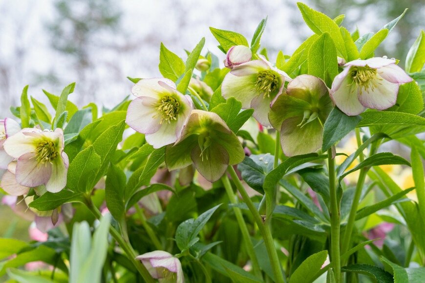 okimo/istockphoto.com