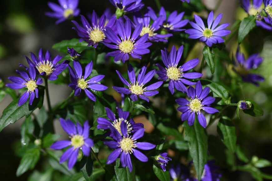 undefined undefined/istockphoto.com