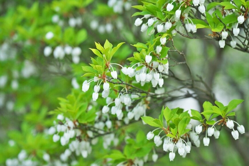 igaguri_1/istockphoto.com