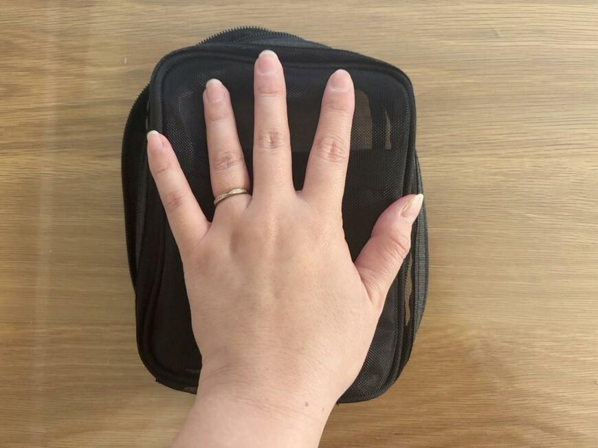 キャンドゥ「メッシュ縦型ポーチ」