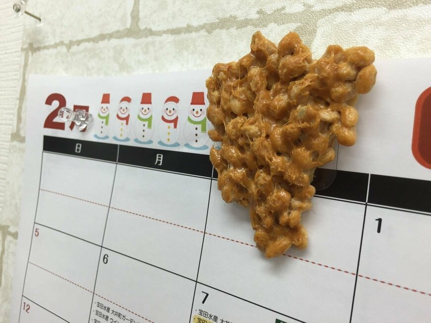 納豆の食品サンプル