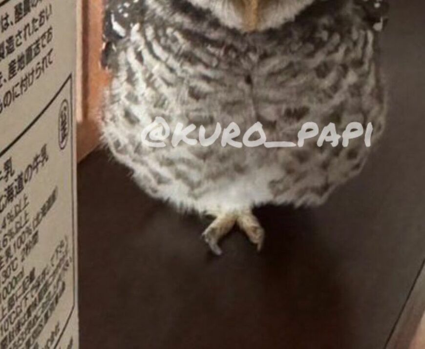 投稿写真のワンシーン