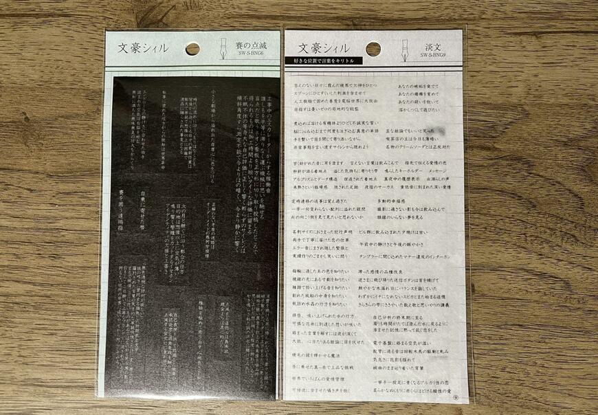 ダイソーの文豪シィル 賽の点滅・文豪シィル 淡文、筆者撮影の商品画像