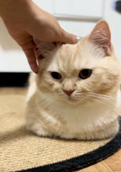あまり乗り気ではない縫くん