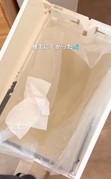 変身前のゴミ箱