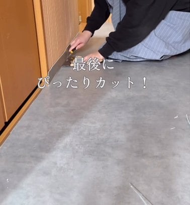 投稿の画像