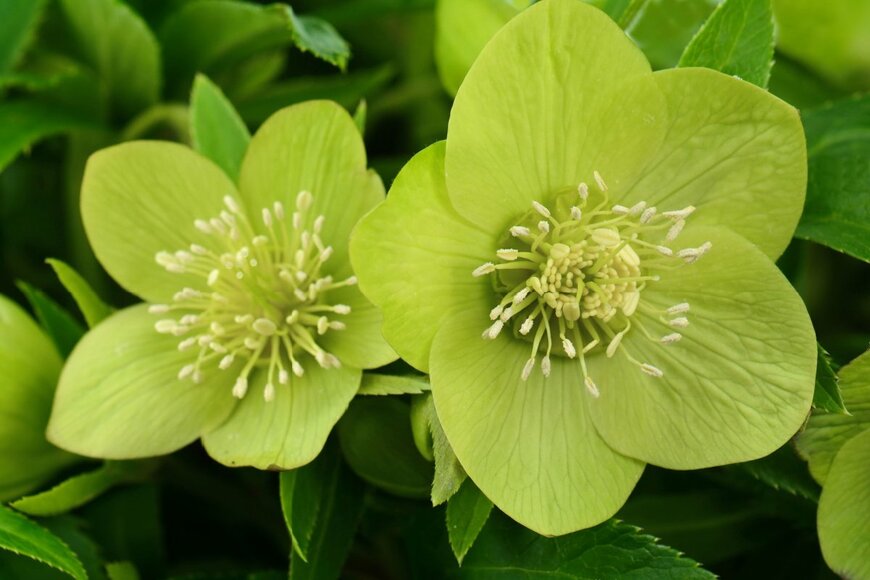 milart/shutterstock.com