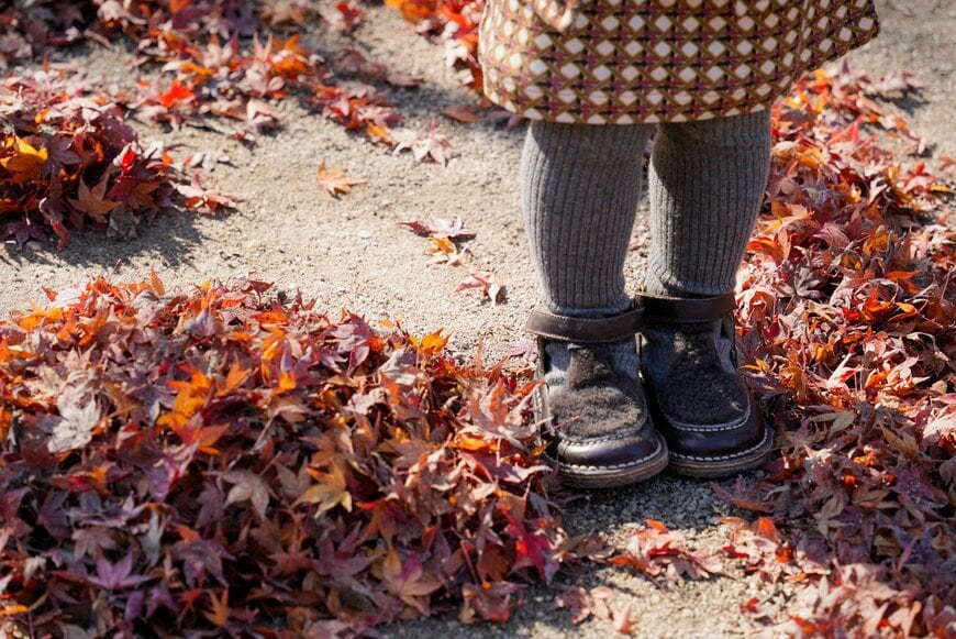 出所：@mochimochi_sw