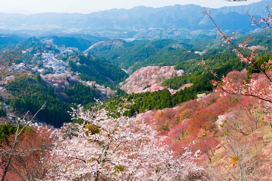 wandererronin/shutterstock.com