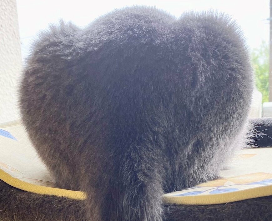 出所：@luna7taka9