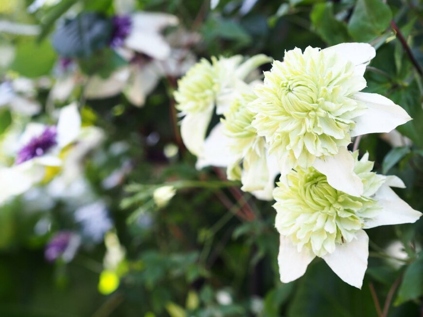 karinrin/shutterstock.com