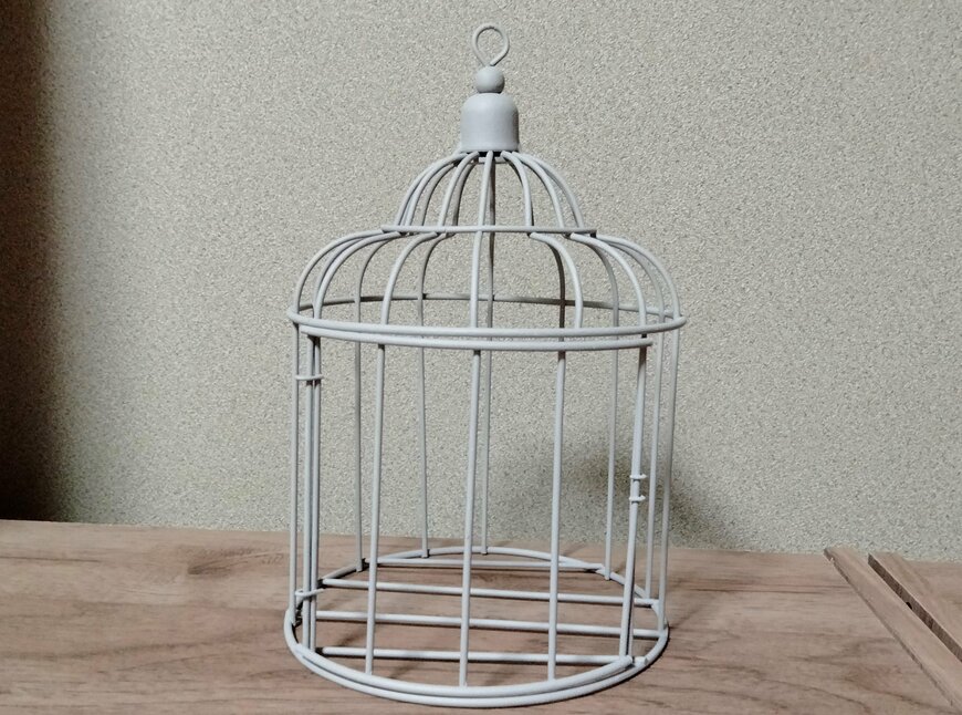 筆者撮影（ダイソー、アイアンインテリア（ケージ、直径13.5cm×19cm））