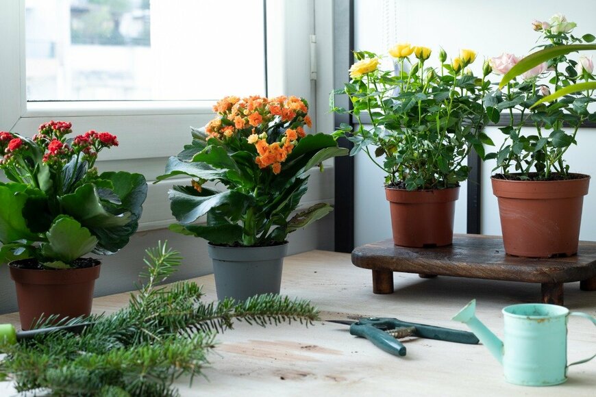 izzetugutmen/istockphoto.com