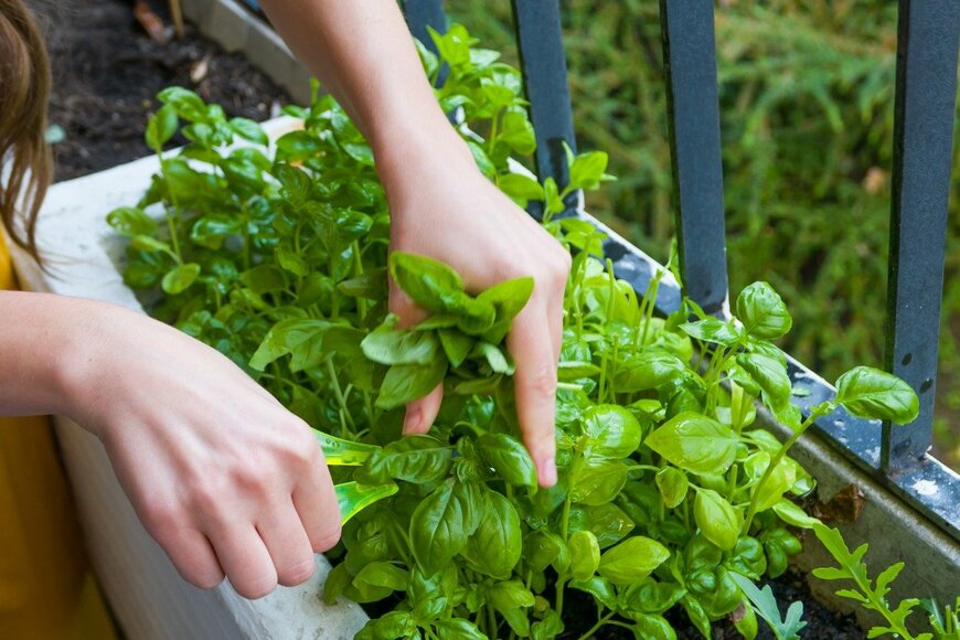 Darwel/istockphoto.com