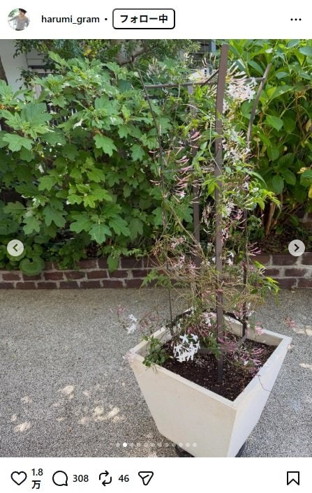 出所：栗原はるみのInstagram（＠harumi_gram） 参照日：2026年4月20日