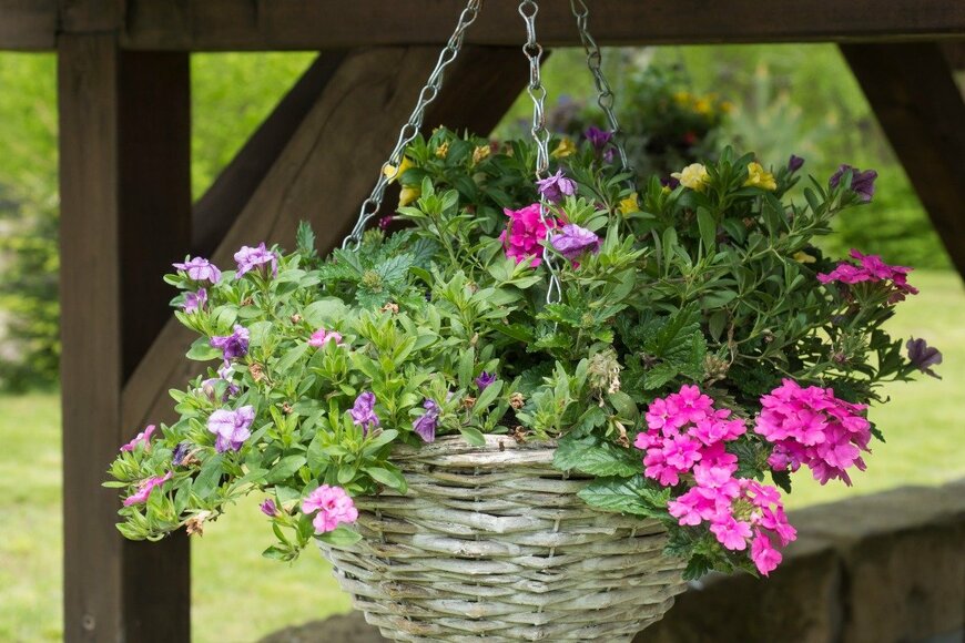 Kristyna Sindelkova/istockphoto.com