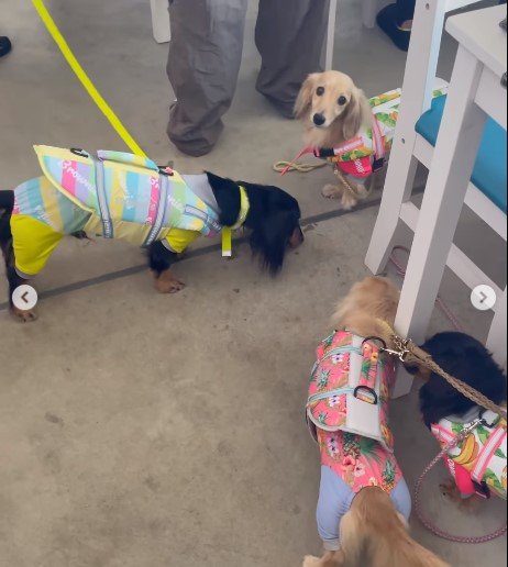 出所：himaribow.k.k