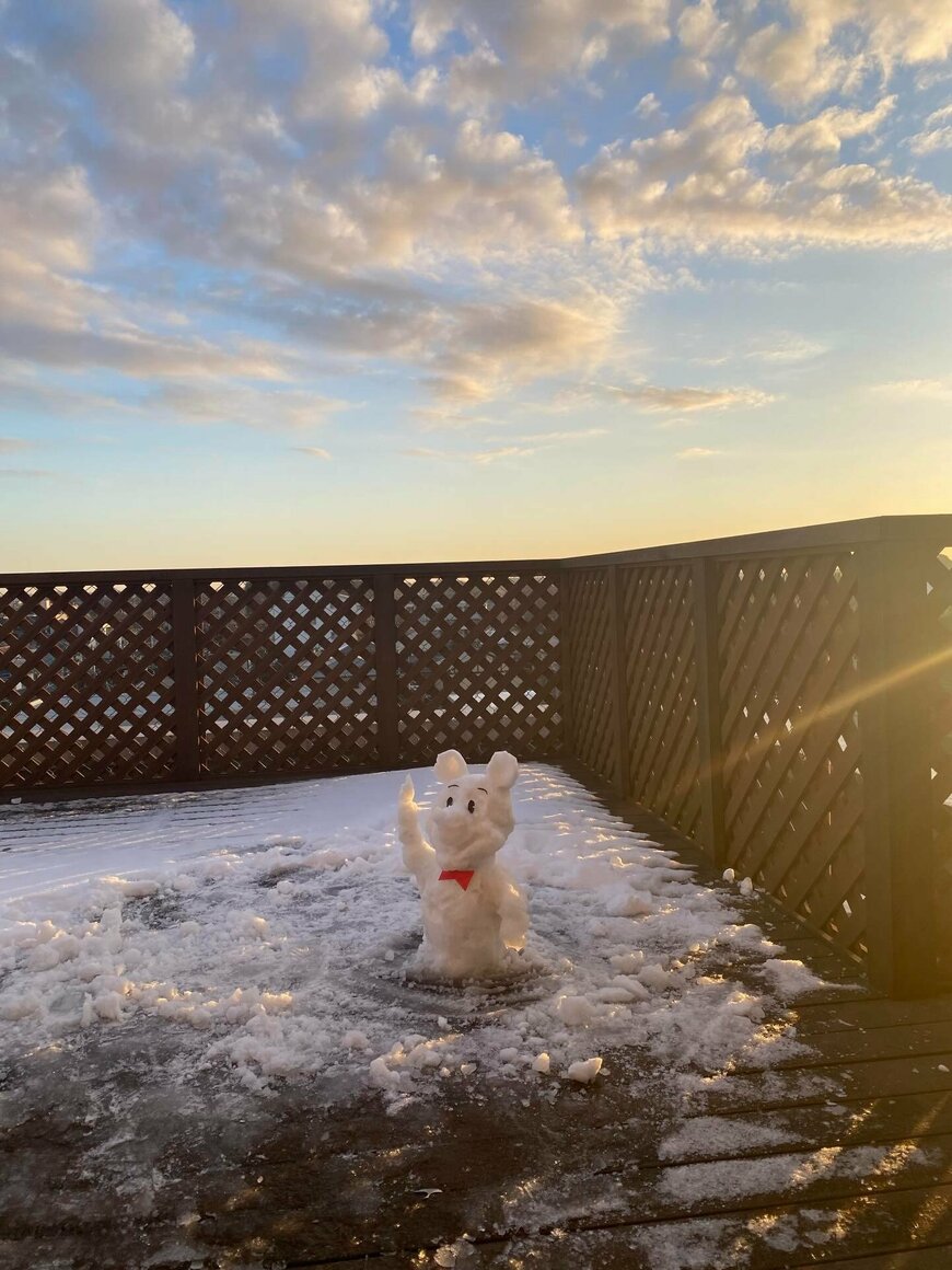 出所：＠momoharu_nyao