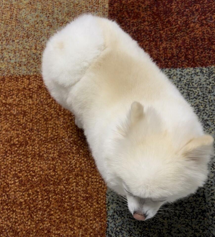 出所：@boku_ponchan