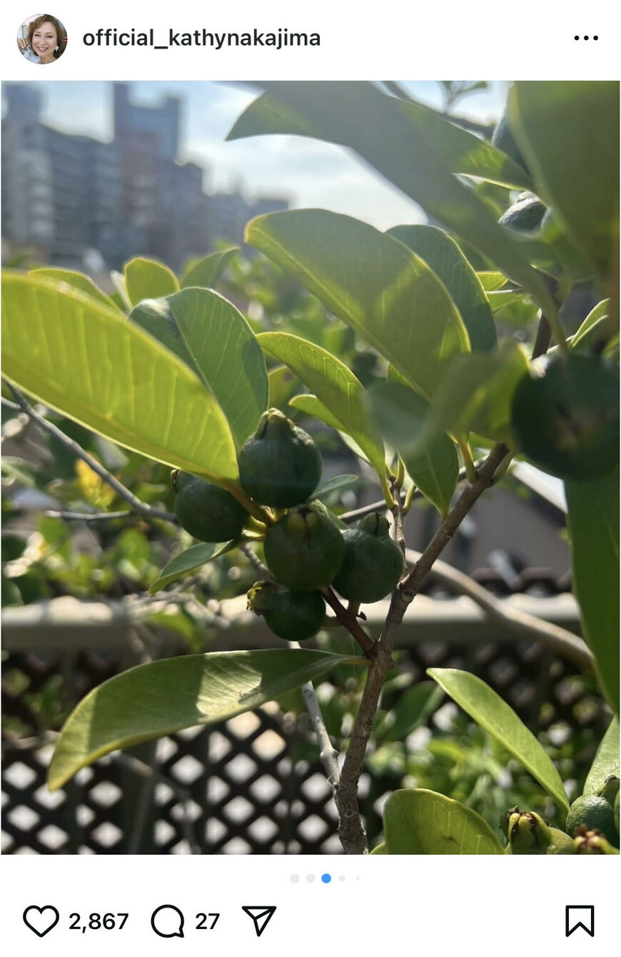出所：キャシー中島のInstagram（＠official_kathynakajima）参照日：2025年7月24日