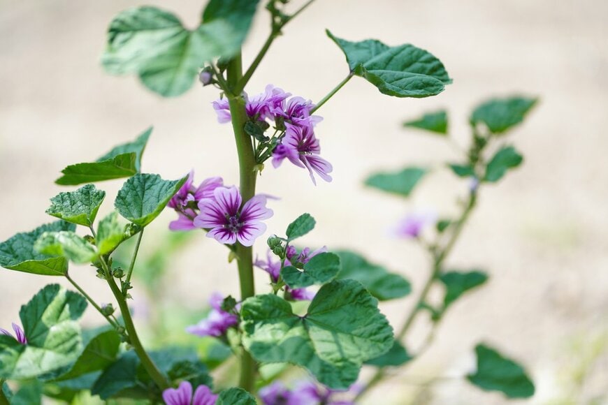 yamasan/istockphoto.com