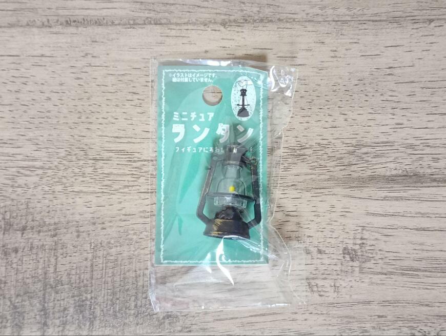 出所：筆者撮影（セリア、ミニチュアランタン）