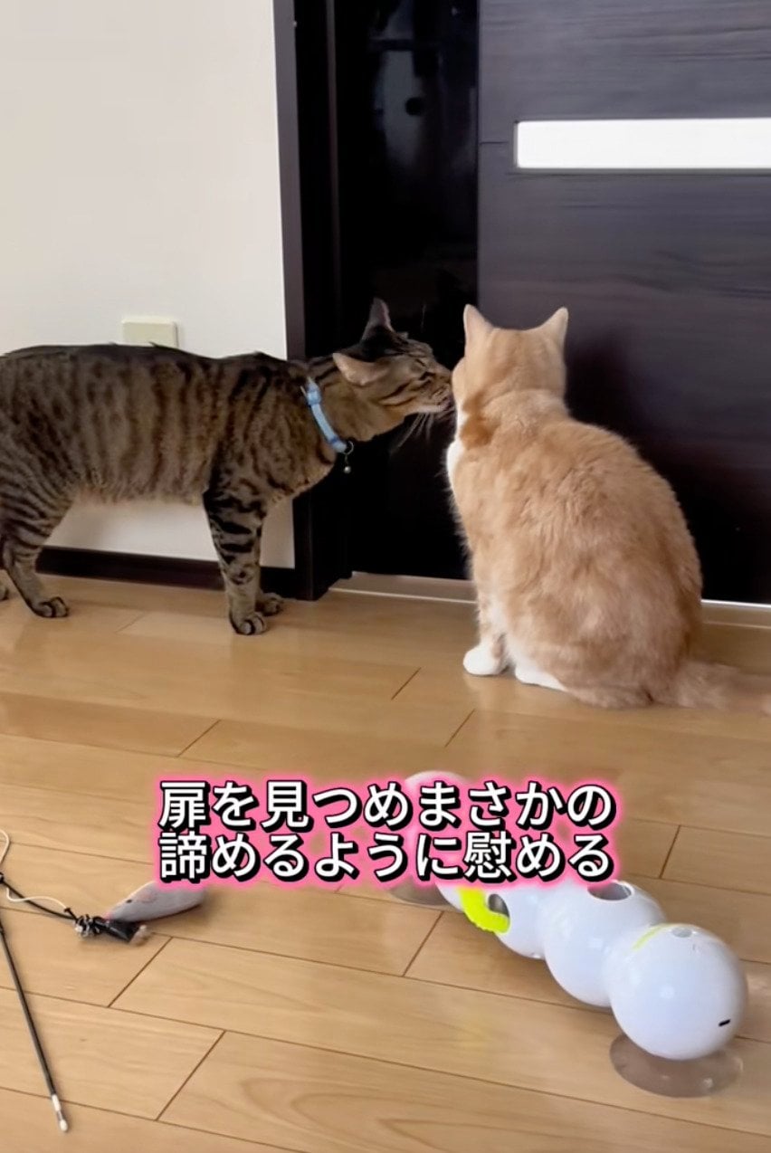 出所：@sorakai0905