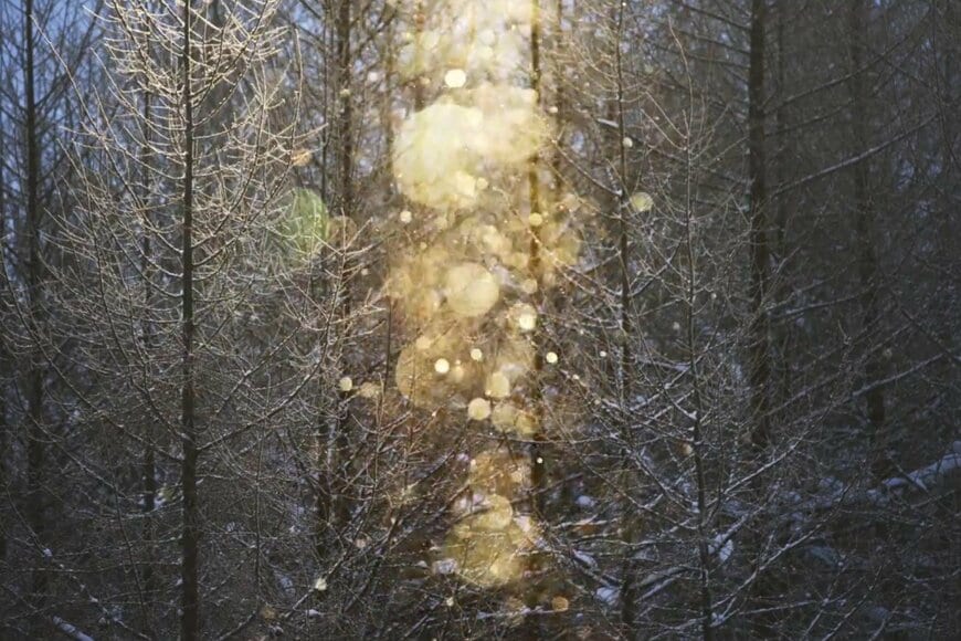 出所：@donchan1101