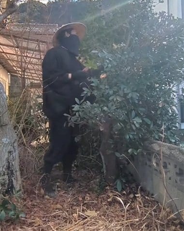 出所：@kusakari.zamurai