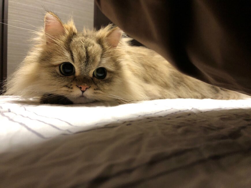 出所：@UphQepCv8J