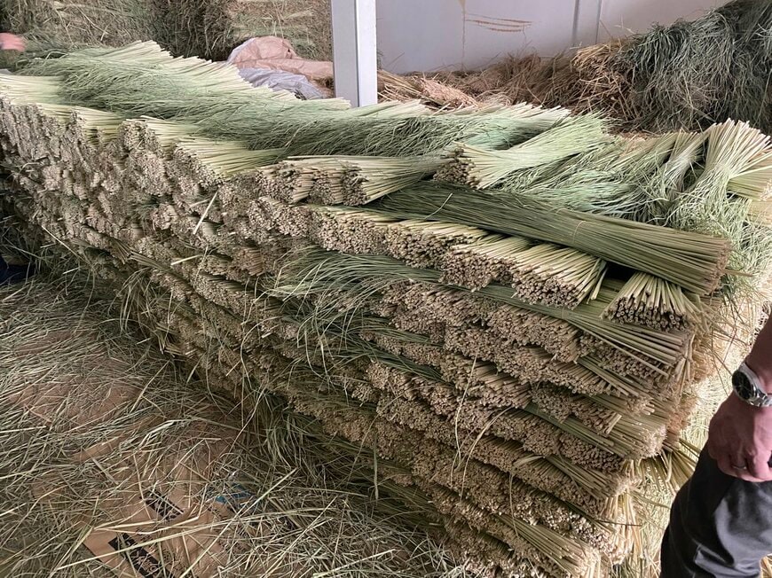 出所：@cementblue