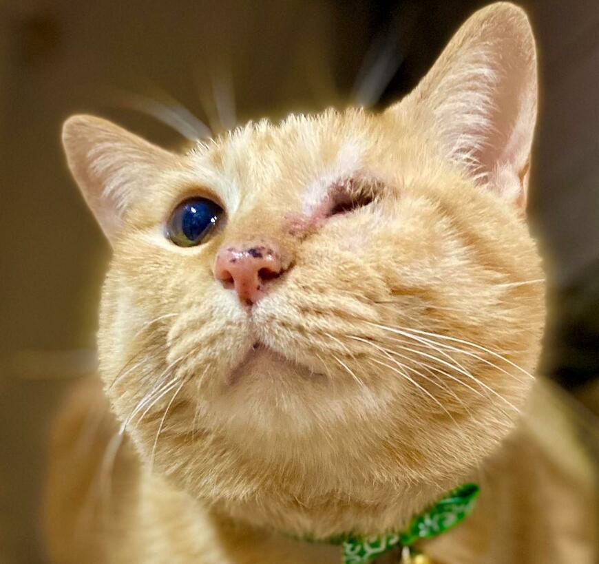 出所：@luna7taka9 