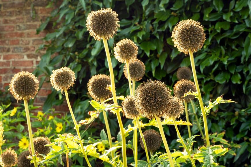 AngieC333/shutterstock.com