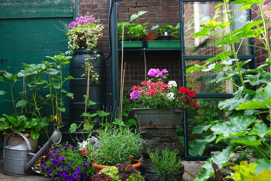 L Feddes/istockphoto.com