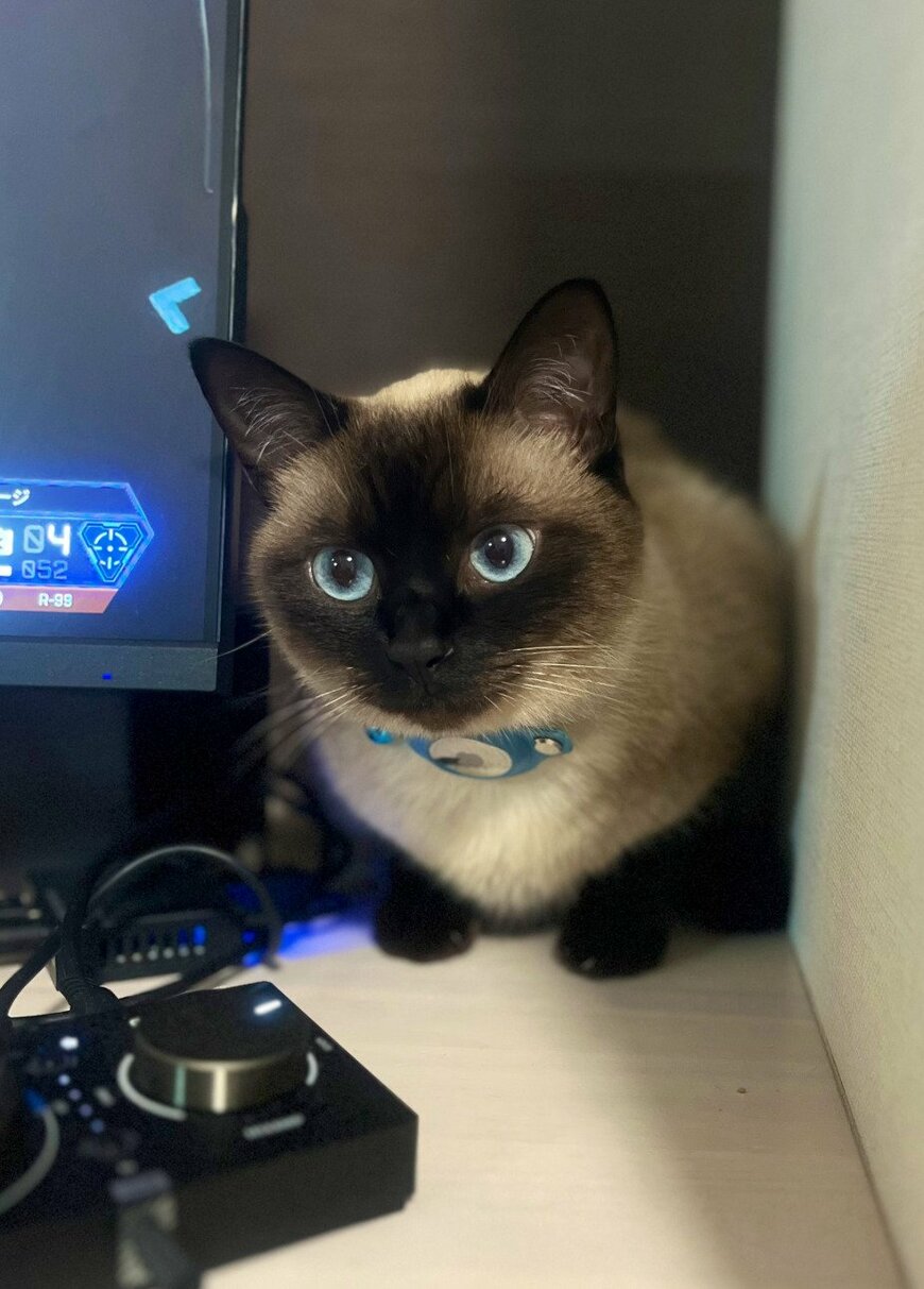 出所：@puyopuyo_nyaa