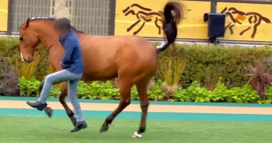 出所：@edward4th66