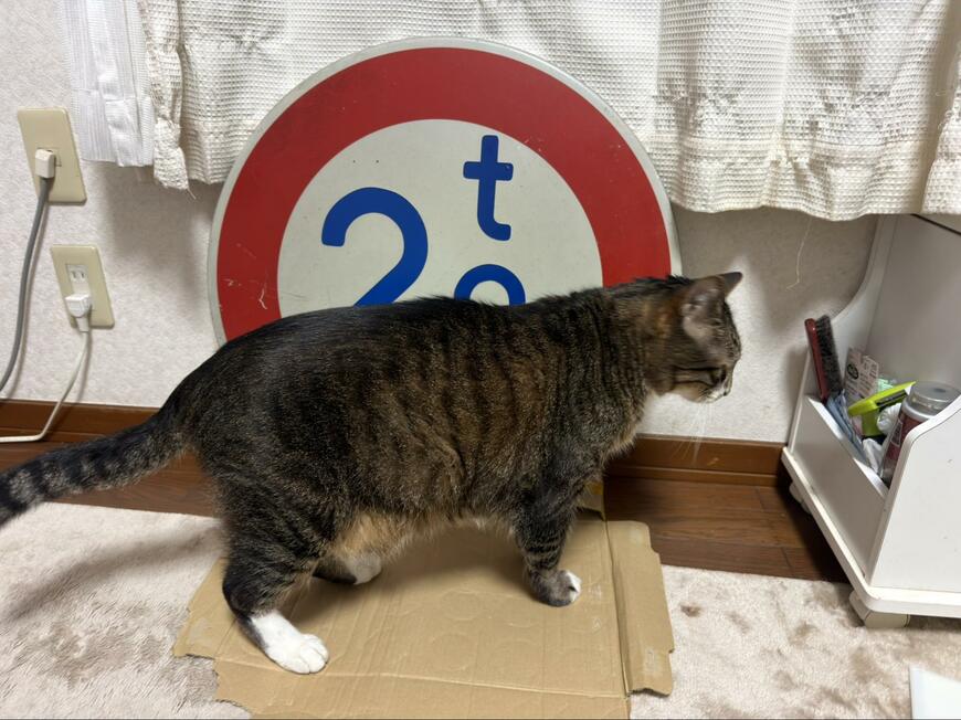 投稿の画像