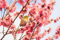 【最新版】60歳代「貯蓄3000万円以上」の割合は？老後に向けた資産設計2つも解説