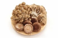 【きのこ】ホクトの株主優待制度、その内容とお得な特典を解説【2022/23シーズン最新】