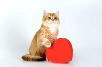 【65歳以上の老後生活】年金だけでは足りない？家計状況と貯蓄状況を徹底解説！豊かな老後生活を実現するために必要なお金とは？