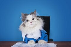 こんなにも違う⁉厚生年金と国民年金、老後にいくらもらえる？