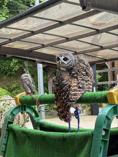 投稿動画のワンシーン