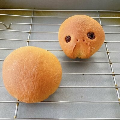 投稿の画像