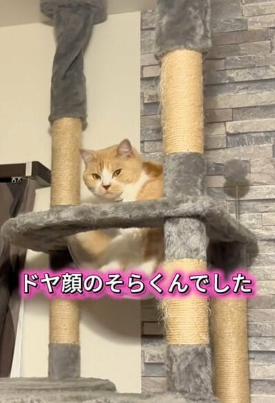 ドヤ顔のそらくん