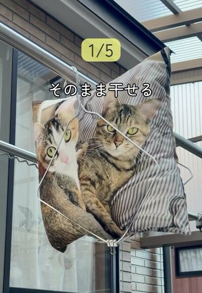 ハンガーで干したクッション