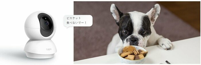 ライブ映像を見るだけでなく、双方向通話にも対応しています