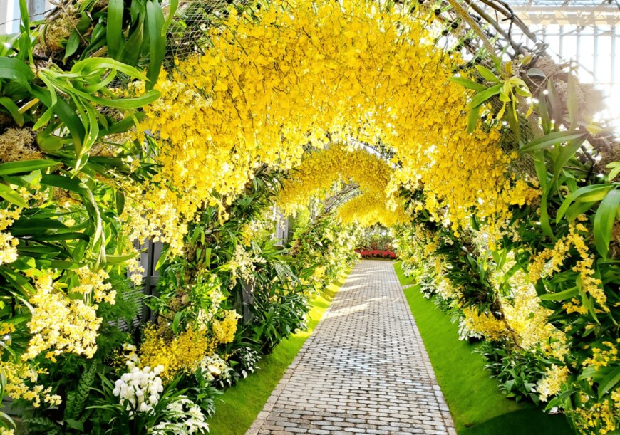 画像出所：兵庫県立淡路夢舞台公苑温室「あわじグリーン館」